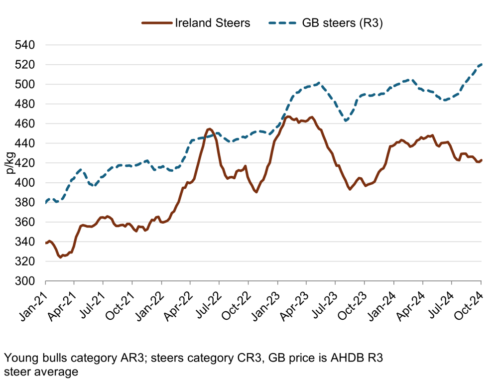 Graph showing GB and Irish cattle price